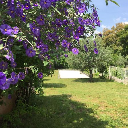 Oustaou Di Ercole Bormes-les-Mimosas Exterior foto